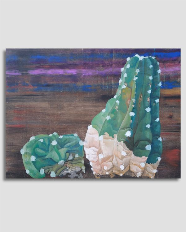 Cactus VI