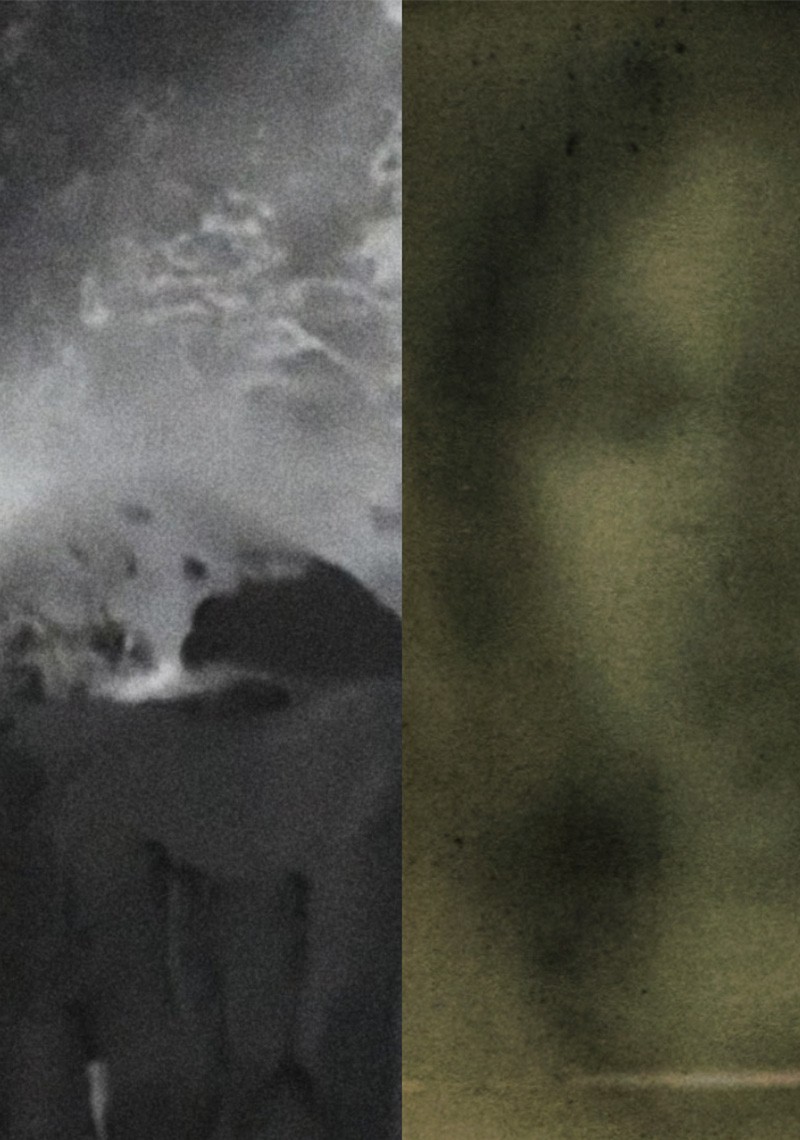 [IN] ABSENTIA