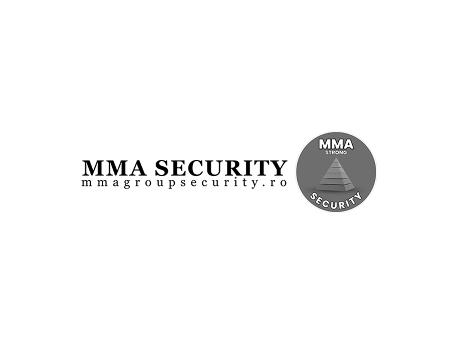mma security_HD
