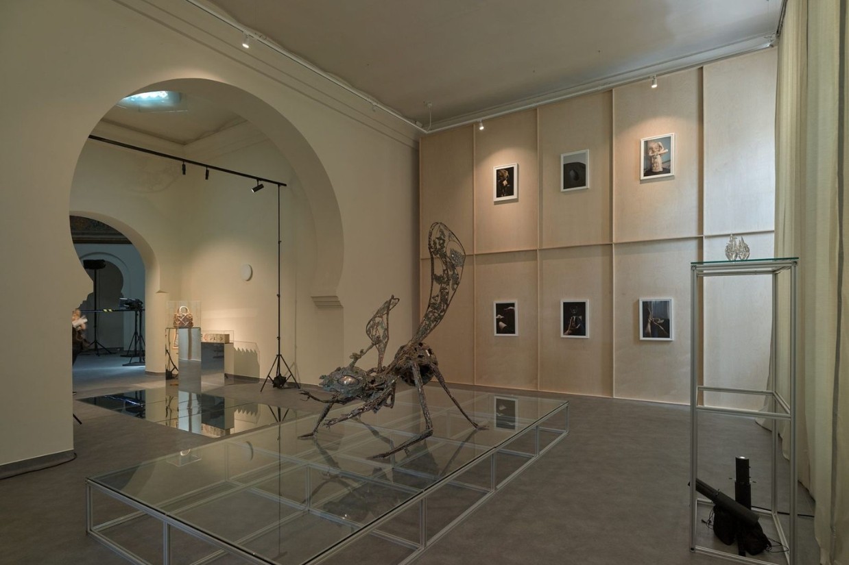 Sute de artiști români și străini, prezenți în zeci de expoziții, transformă Iașul într-un epicentru european al artei, la Romanian Creative Week Sute de artiști români și străini, prezenți în zeci de expoziții, transformă Iașul într-un epicentru european al artei, la Romanian Creative Week