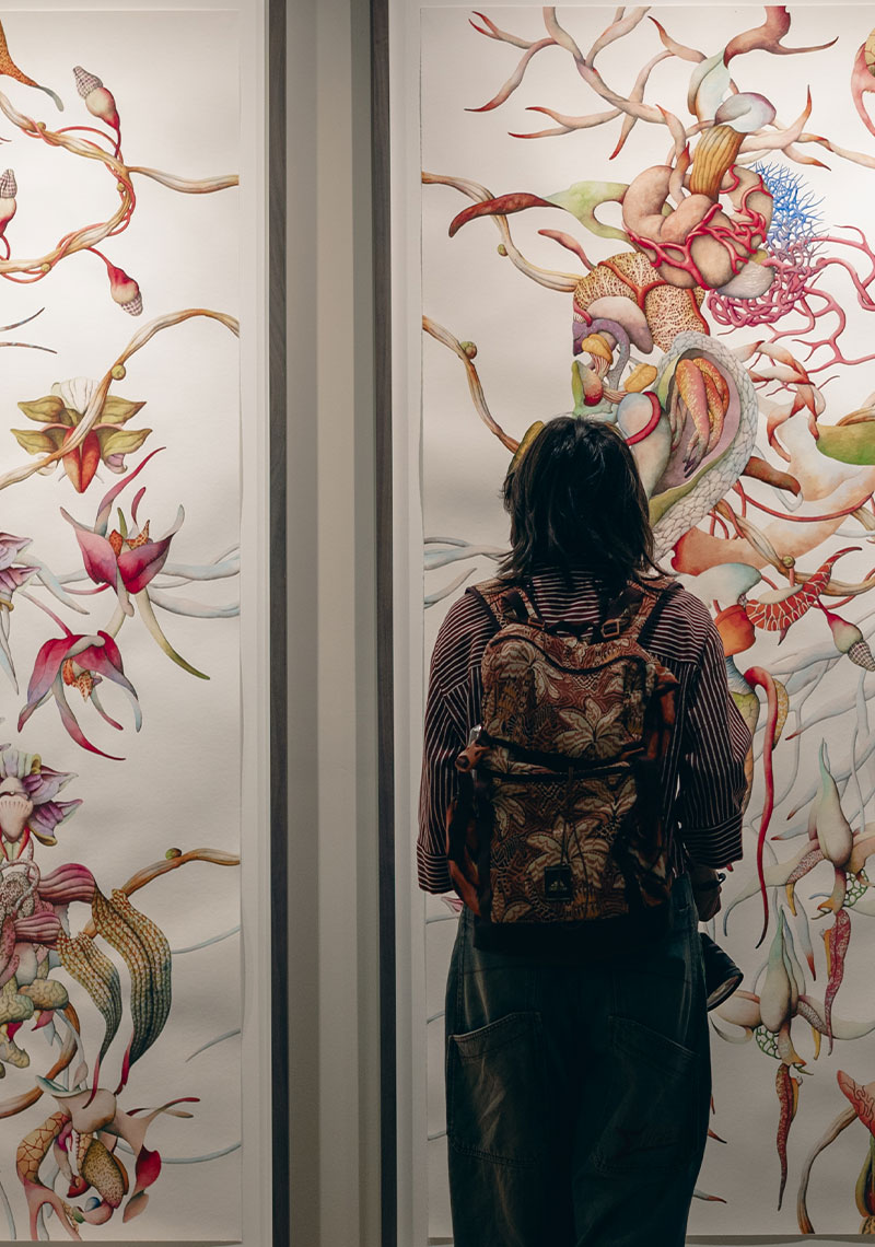 Noaptea Europeană a Muzeelor 