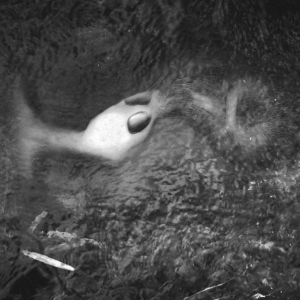 Dr0mp (Alexandru Andrei)