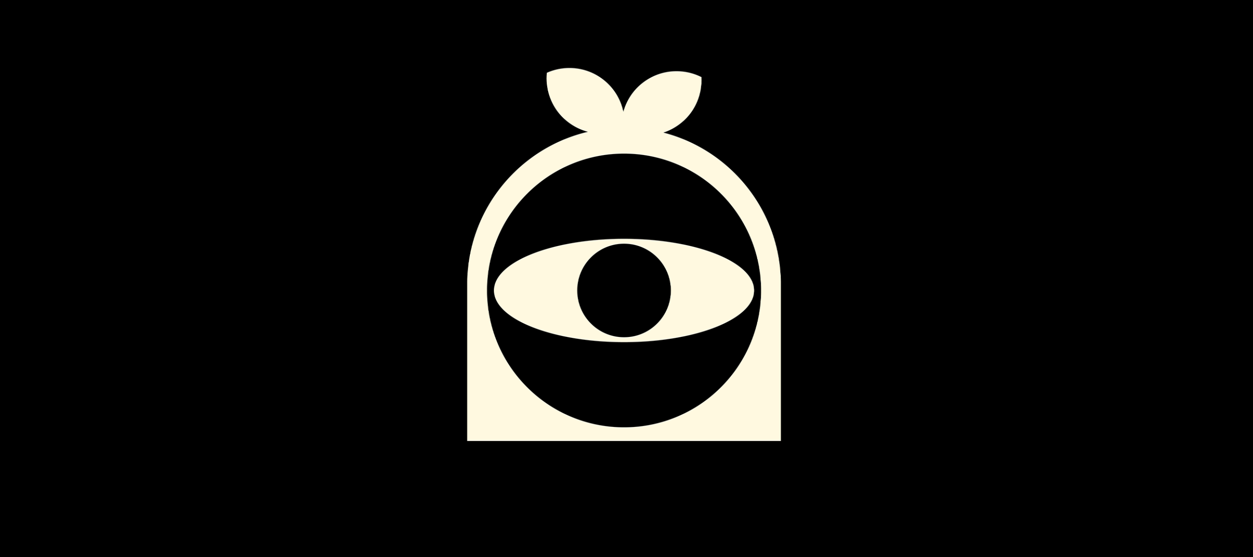 Boonica - The Future Of Surveillance