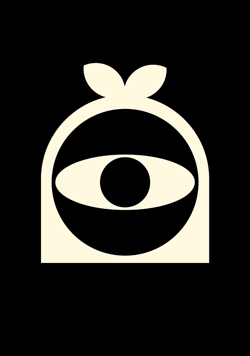 Boonica – The Future Of Surveillance