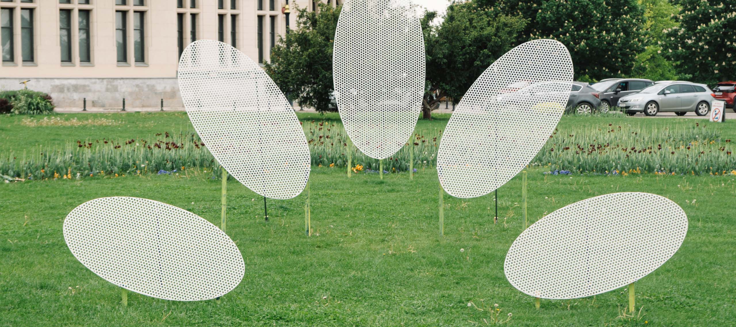 Synthetic Daisy